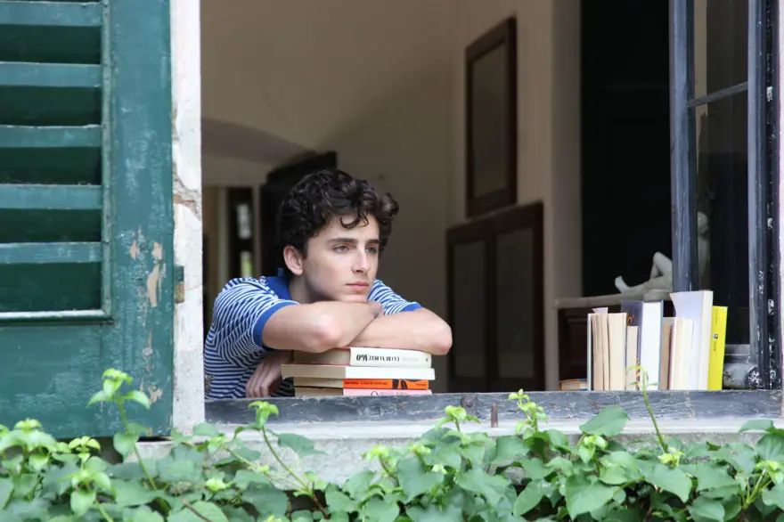 Resmen "Hollywood yıldızı" oldu: Timothee Chalamet'in yükselişi 5