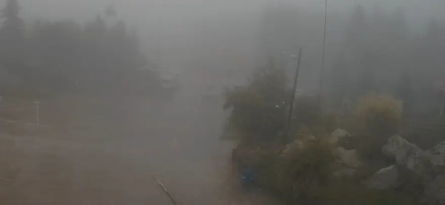 Uludağ'da kar beklenirken koyunlar pistlere indi 1 Uludağ'da kar beklenirken koyunlar pistlere indi 1