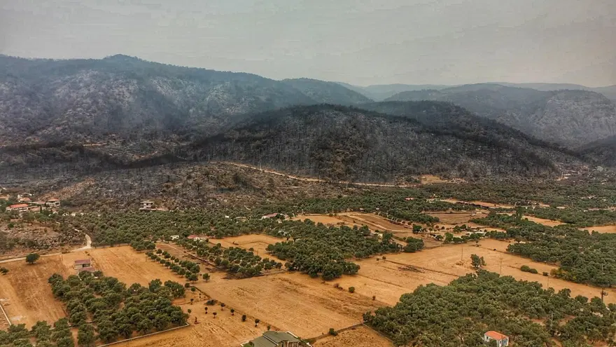Bodrum ve Milas'ta yanan alanlar havadan görüntülendi 25 Bodrum ve Milas'ta yanan alanlar havadan görüntülendi 25