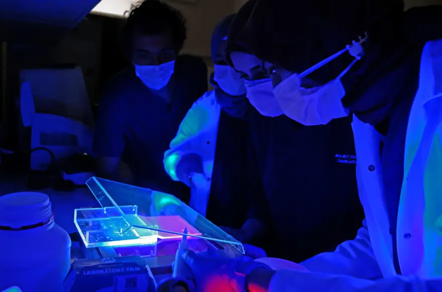 Türkiye'nin ilk 'mRNA' aşısı, hayvan deneyleri aşamasına geldi 5