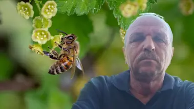 Arı sokması can aldı