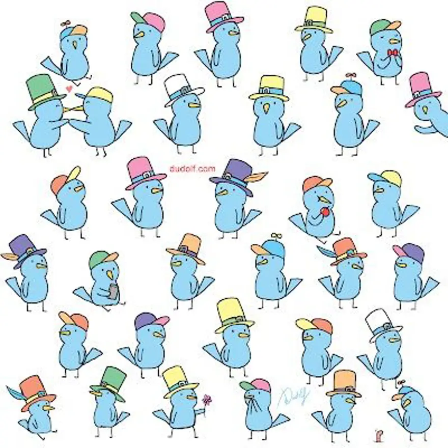 HANGİ KUŞUN FARKLI ŞAPKASI VAR 5