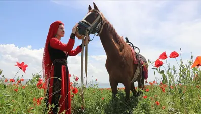 Kırgız Türkleri Erciş'i gelincik tarlasıyla tanıtıyor