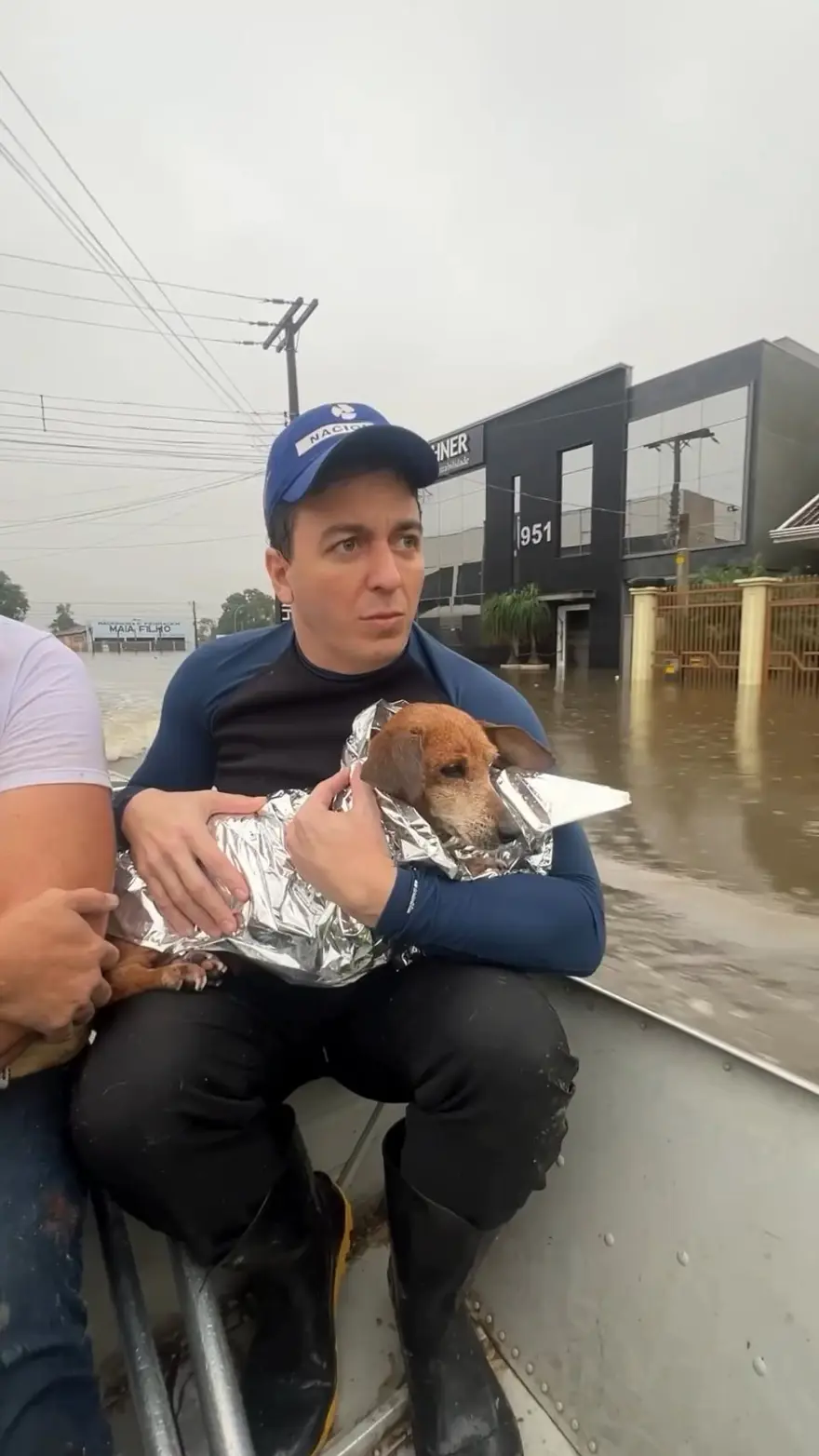 Brezilya'da sel felaketi: Milletvekili ve meclis üyesi, yüzlerce hayvanı selden kurtarıyor 12