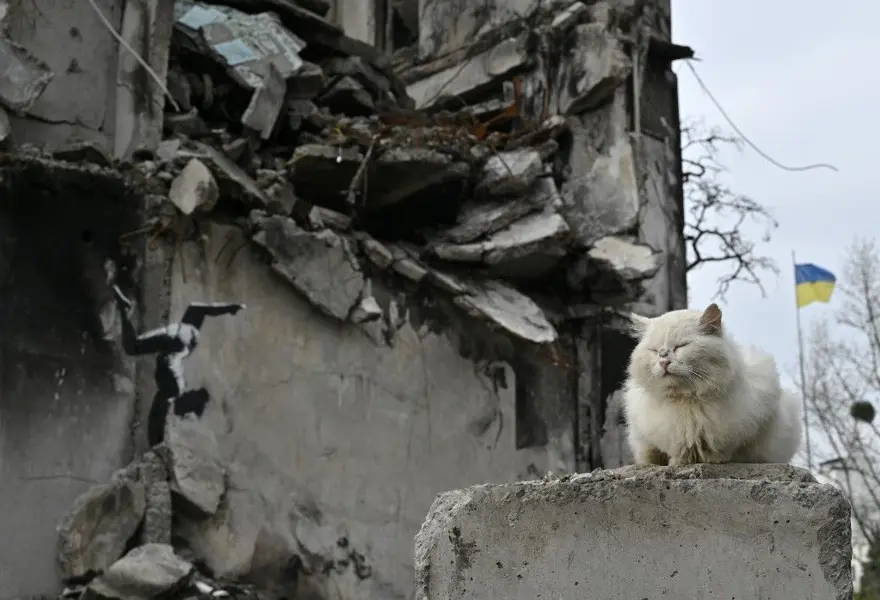 Banksy'den Ukraynalılara yardım için 50 serigrafi baskı 4 Banksy'den Ukraynalılara yardım için 50 serigrafi baskı 4