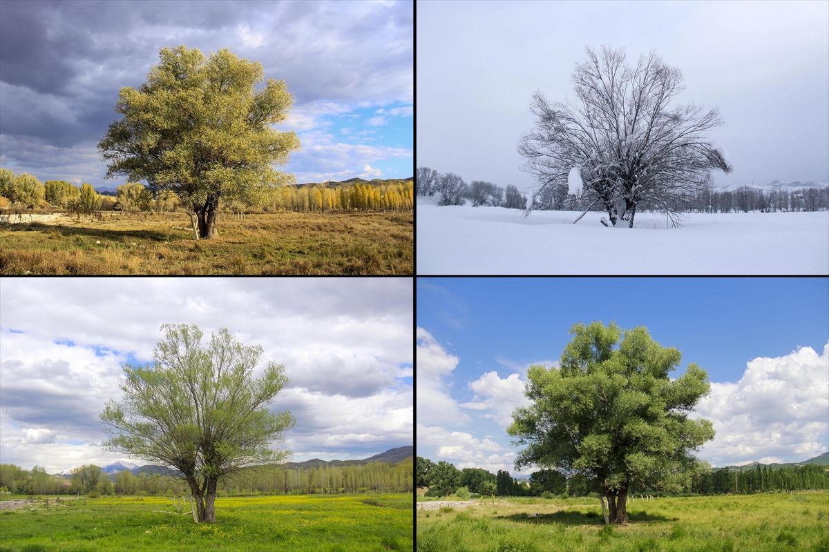 Fotoğraflarla dört mevsim Ovacık