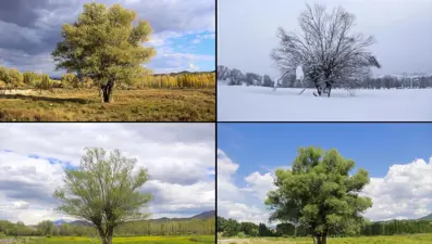 Fotoğraflarla dört mevsim Ovacık