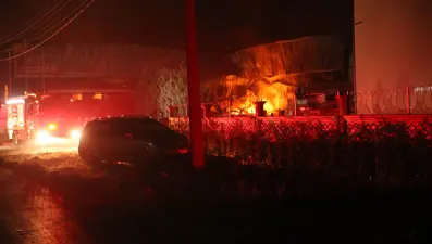 Sakarya'da sünger fabrikasında yangın