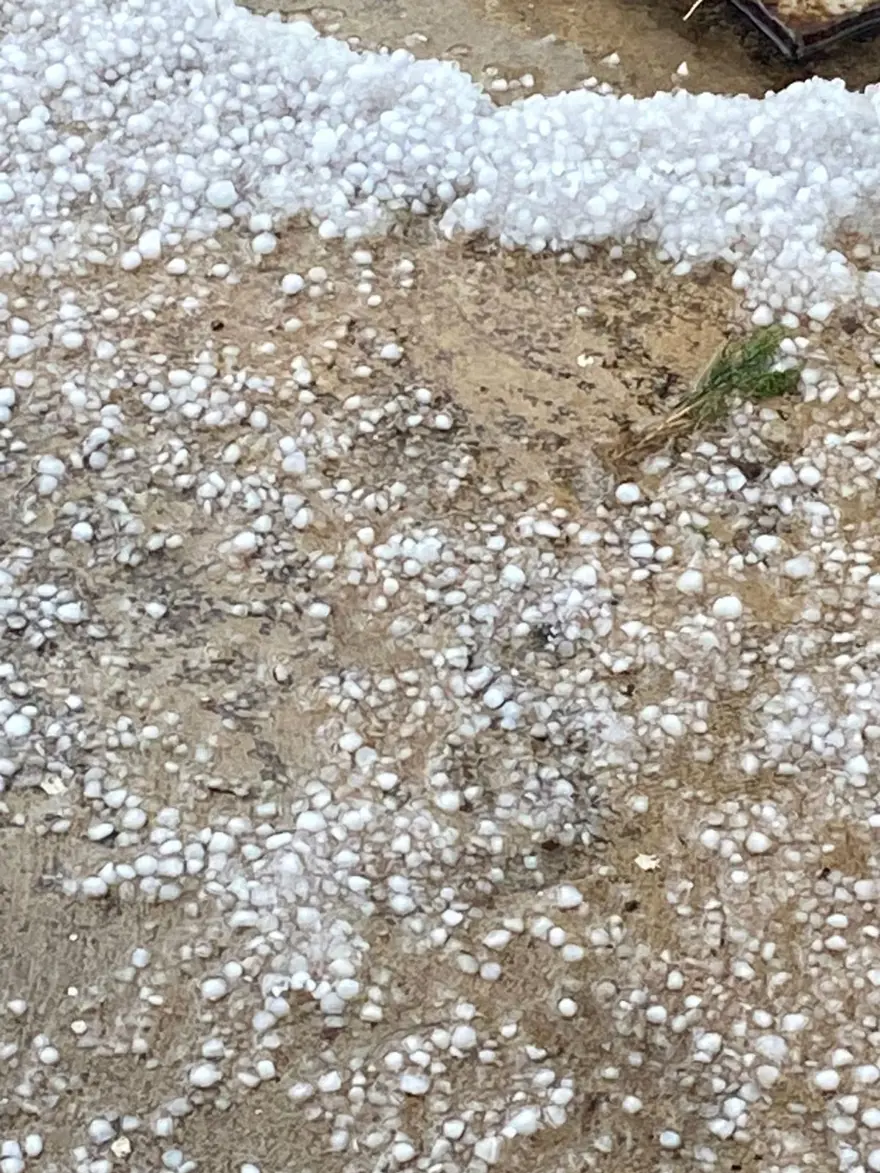 Dolu yağışı ekili arazileri beyaz örtüyle kapladı 6 Dolu yağışı ekili arazileri beyaz örtüyle kapladı 6