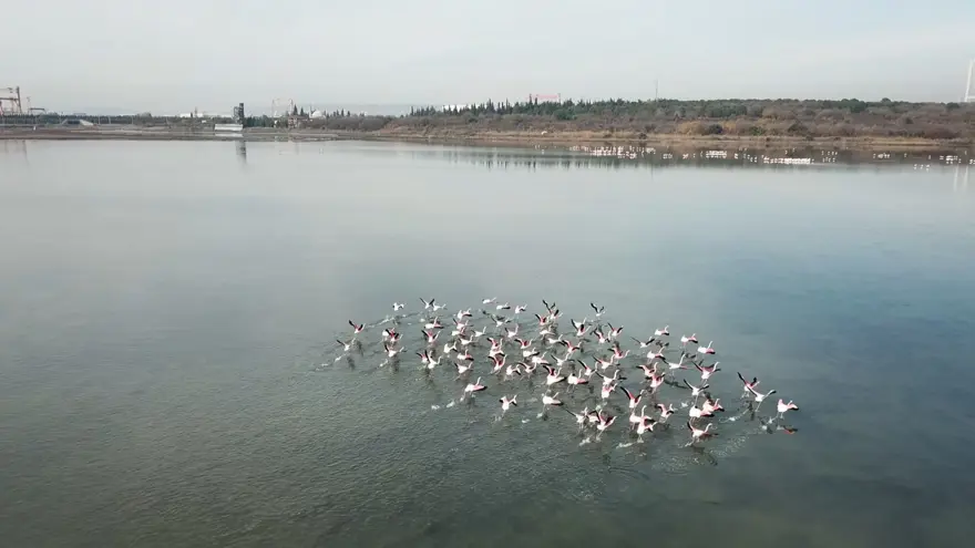 LAGÜNE GELENLERE, DOĞA PASAPORTU 7 LAGÜNE GELENLERE, DOĞA PASAPORTU 7