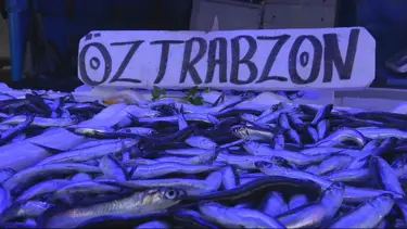 Trabzon'da hamsinin kilogramı 20-25 liradan satılıyor