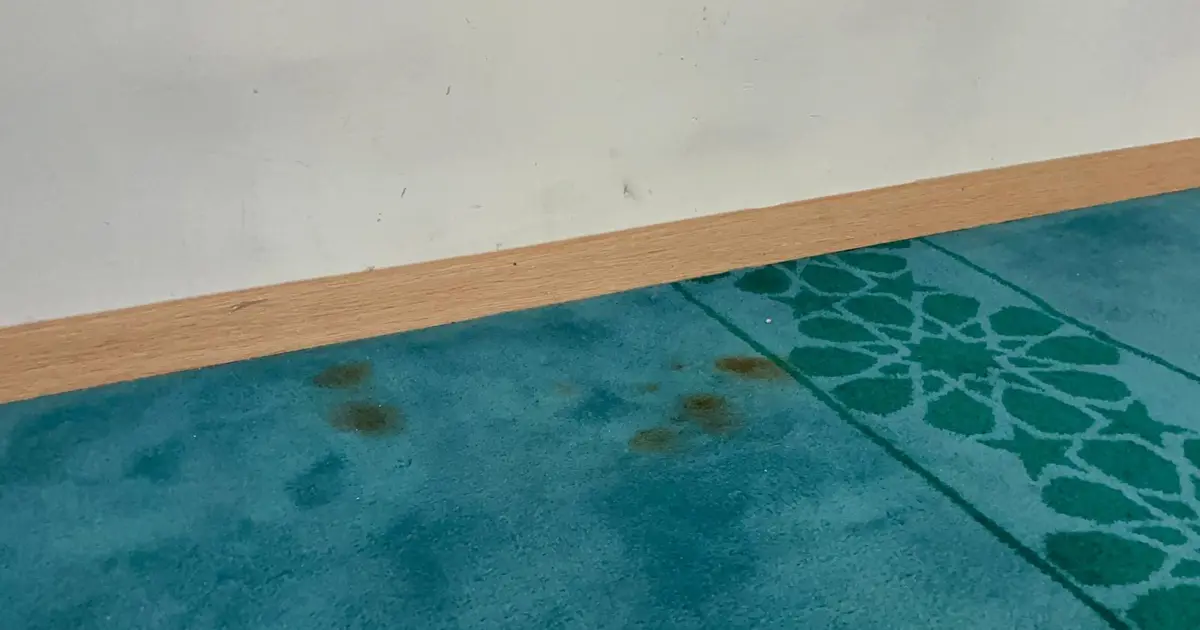 Sabah namazına gidenler fark etti. Bitlis'te caminin duvarlarını kırdılar, halılarda sigara söndürdüler