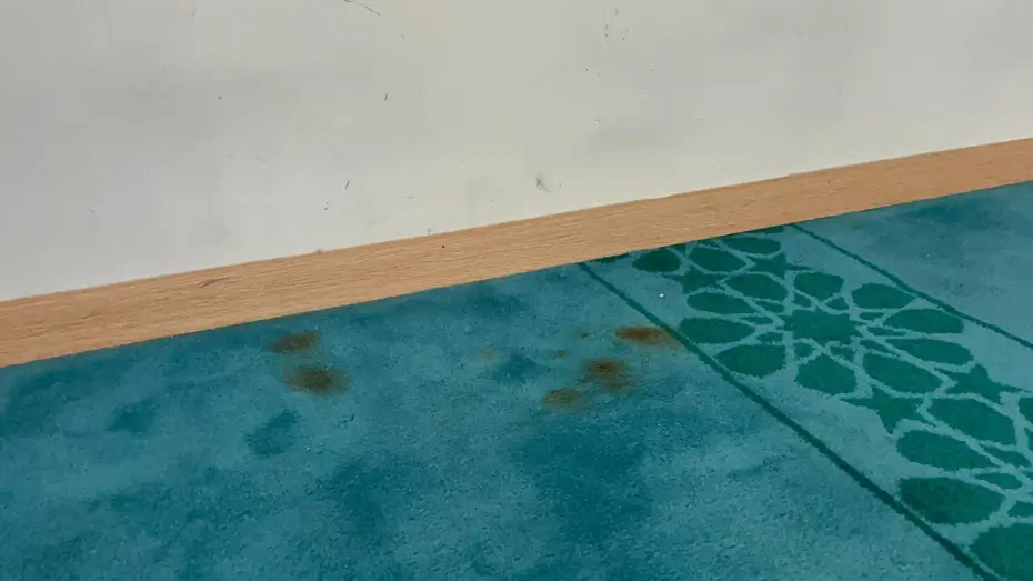 Sabah namazına gidenler fark etti. Bitlis'te caminin duvarlarını kırdılar, halılarda sigara söndürdüler