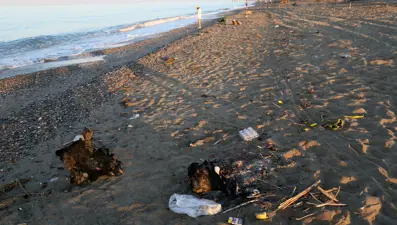 Caretta caretta yuvalarına dikkat. Sahilde bunu yapana 699 bin TL ceza