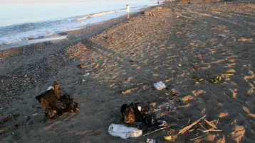 Caretta caretta yuvalarına dikkat. Sahilde bunu yapana 699 bin TL ceza