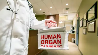 “Organ naklinde öncelik kadavradan organ temin etmek olmalı”