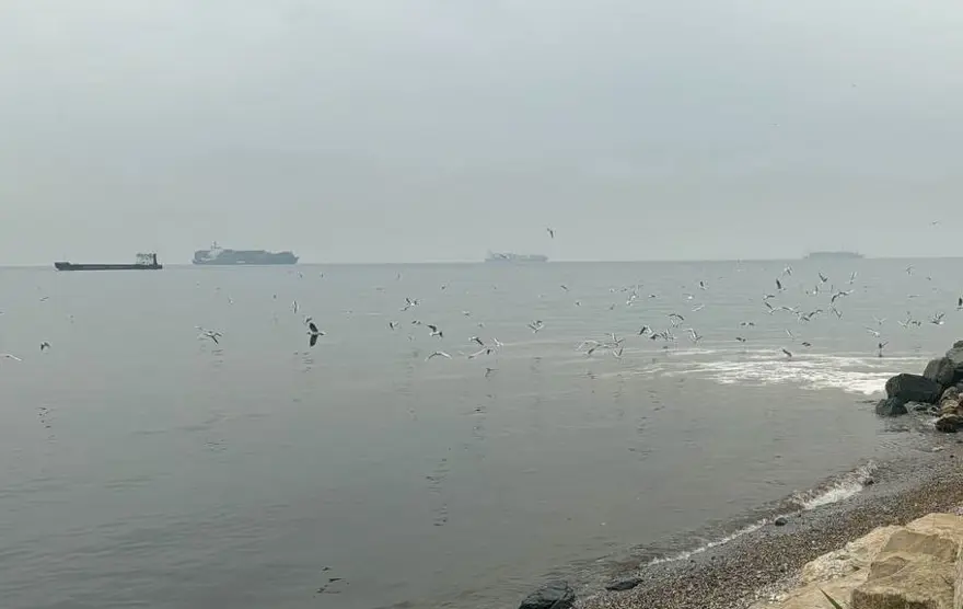 Beylikdüzü'nde kanalizasyon suyu denize aktı 3