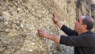 Erzurum'da bulundu: 200 milyon yıl öncesine ait