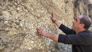 Erzurum'da bulundu: 200 milyon yıl öncesine ait