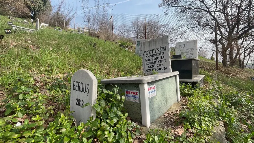 BAYRAMLARDA ZİYARET EDİYORLAR 2