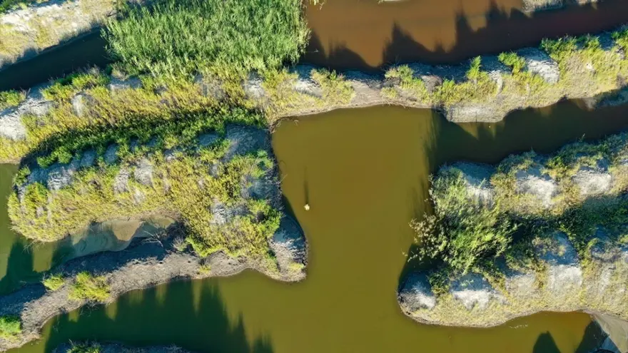 Ağrı Dağı eteklerindeki renkli sulak alanlar ilgi çekiyor 11