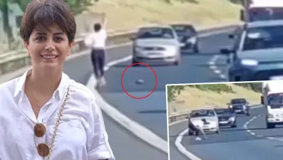 TEM’deseyrederken yolun ortasında olduğunu gördü, hızla geçen araçları durduruphayatını kurtardı