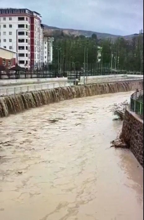 Gürün'de sağanak yağmur dereyi taşırdı, balıklar yola savruldu