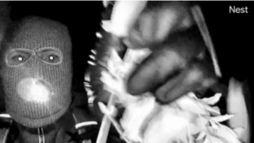 Ünlü sunucunun annesi kaçırıldı. FBI kamera görüntülerini yayınladı