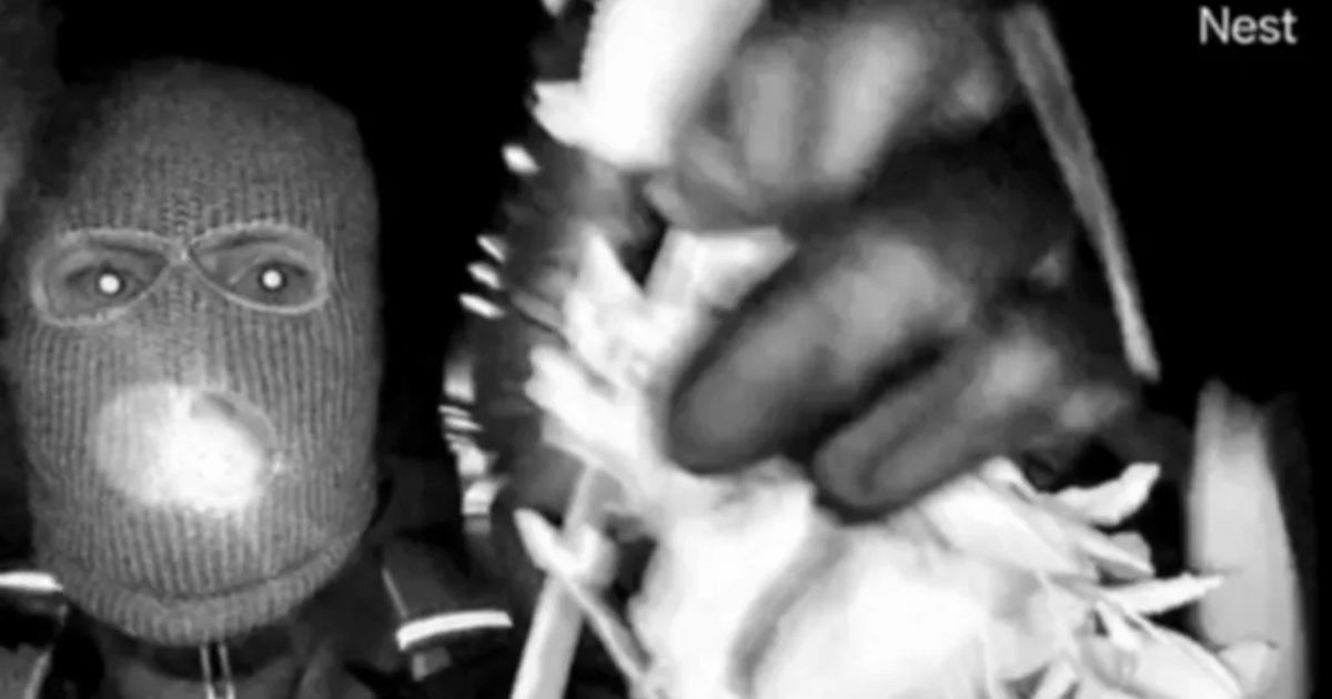 Ünlü sunucunun annesi kaçırıldı. FBI kamera görüntülerini yayınladı