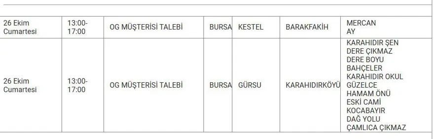 Bursa'nın 8 ilçesinde elektrik kesintisi: Bursa'da elektrikler ne zaman gelecek? 1