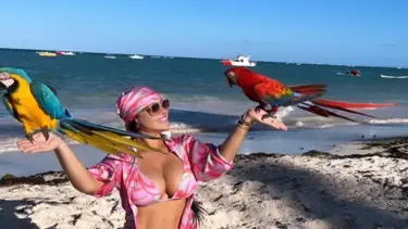 Eşi paylaştı, baron yakalandı:  Hapse götüren tatil fotoğrafları