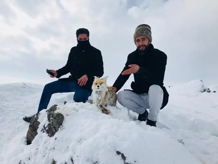 Yiyecek aramaya giden tilki ayakta dondu 2