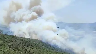 Manisa'daki orman yangını ikinci gününde kontrol altına alındı