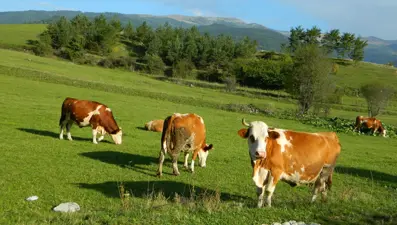 Ardahan'da 3 mevsim bir arada