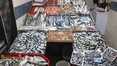 Av sezonu başladı, balıkçının yüzü gülüyor (Lüfer fiyatı 50-60 liraya düşebilir)