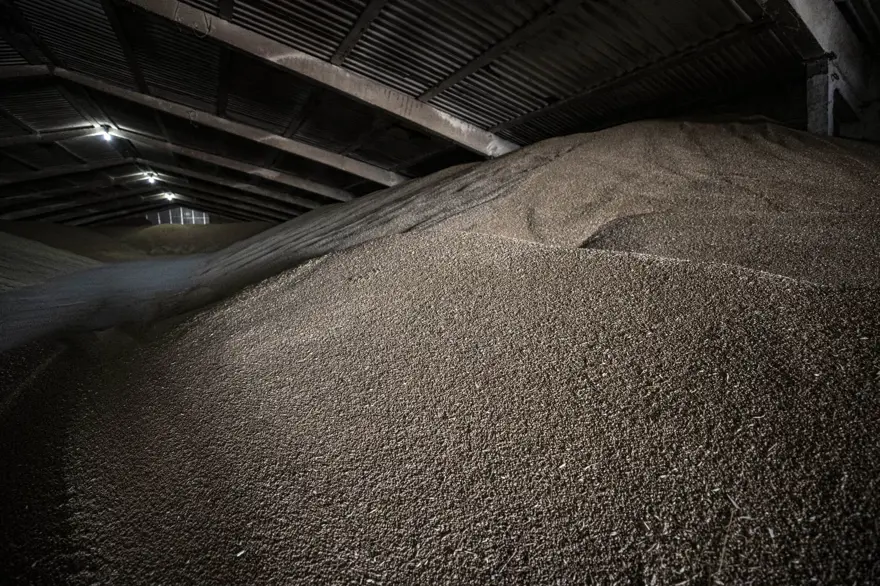 Tahıl gemilerinin limanlardan çıkışını bekleyen Ukraynalı çiftçilerden Türkiye'ye teşekkür 11