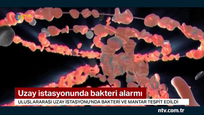 Uzay istasyonunda bakteri alarmı ... (Gelecekteki uzay görevlerini de etkileyebilir)