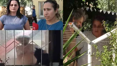 Kötü koku ortaya çıkardı: 17 kedi öldü, yeniden hayvan toplamaya başladı