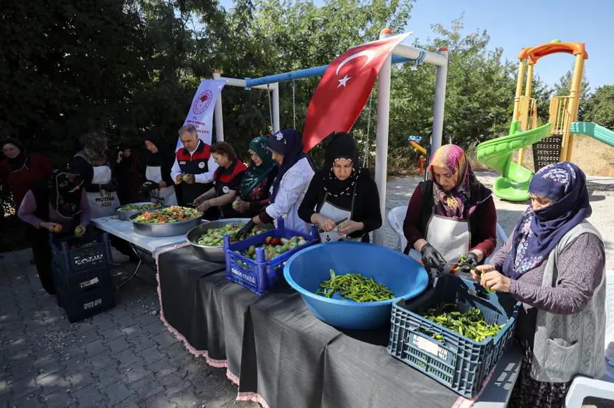 Devlet desteğiyle yetiştiriyorlar: Sebzeleri dönüştürerek gelir elde ediliyor 7 Devlet desteğiyle yetiştiriyorlar: Sebzeleri dönüştürerek gelir elde ediliyor 7
