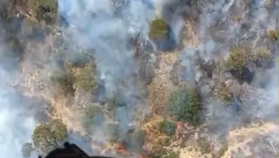 Tütsü ormanı yaktı