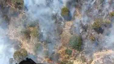 Tütsü ormanı yaktı
