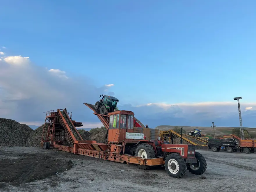 Gece gündüz tarladalar: Toplamak için zamanla yarışılıyor 6
