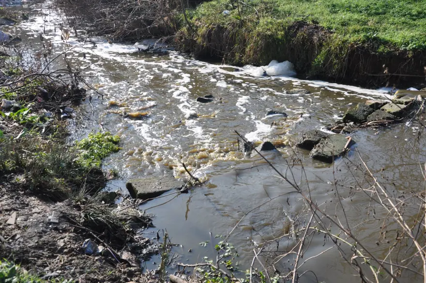 Saranlı Deresi'nin rengi değişti 
