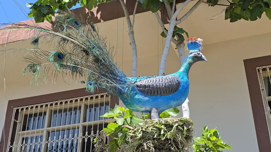 64 yaşındaki emekli öğretmen atıl malzemeleri dönüştürüyor: Bahçesini açık hava müzesine dönüştürdü 3 64 yaşındaki emekli öğretmen atıl malzemeleri dönüştürüyor: Bahçesini açık hava müzesine dönüştürdü 3