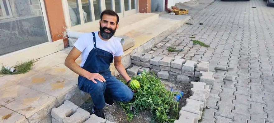 Yol ortasında karpuz çıktı! Görenler hayrete düştü 1 Yol ortasında karpuz çıktı! Görenler hayrete düştü 1