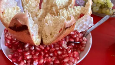 Genç girişimci nar kabuğundan deri üretti: Otomotiv ve giyimde kullanılacak