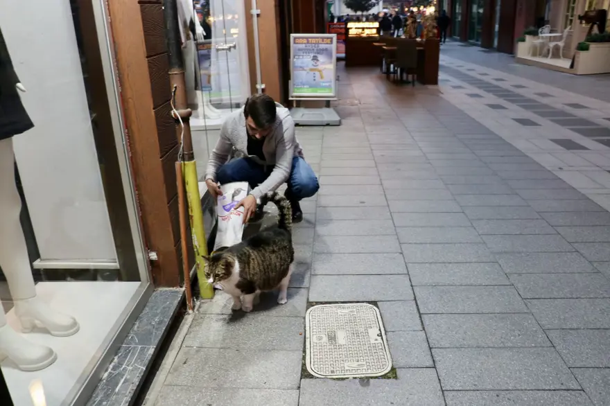 7 yaşındaki "Dombili" diyet yapamıyor: "Biri kıymalı pidenin kıymasını, diğeri köfte veriyor" 7