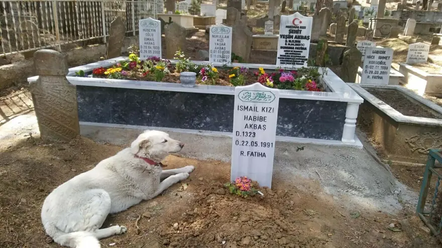 Yeşim’in ailesi en ağır cezanın verilmesini istiyor: “Kızımda biz de rahat uyuyacağız” 7