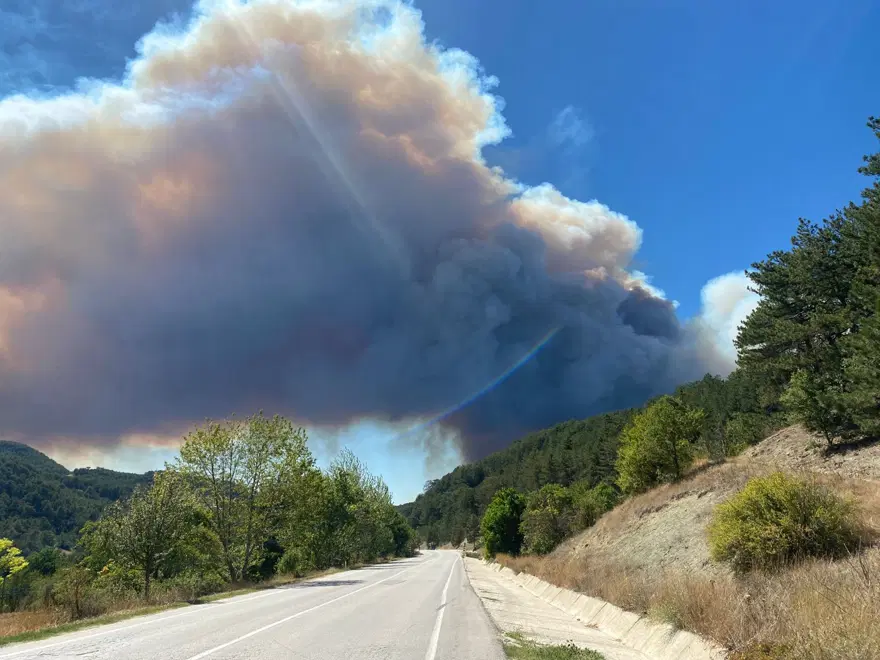 BOLU’DA DA YANGIN ÇIKTI 35 BOLU’DA DA YANGIN ÇIKTI 35
