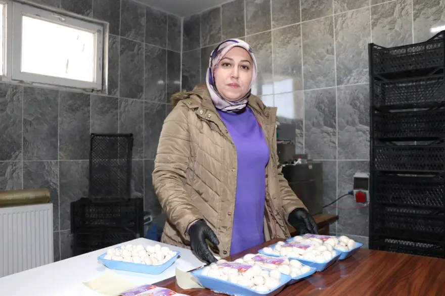 Devlet desteğiyle kurdu: 45 günde 70 ton üretiyor 6